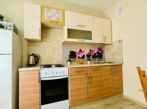 Апартаменты однокомнатные с балконом на Союзной 4