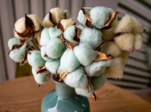 Апартаменты Студия 6 by Mangosteen Apartments