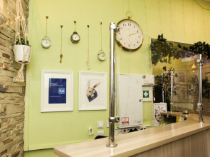 Хостел Кроличья Нора