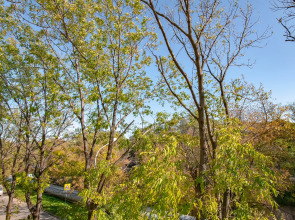 Апартаменты Бородинская 23/9