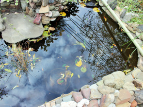 Отель Гермес