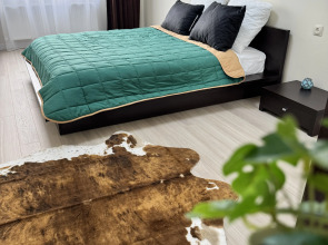 Квартира Двухкомнатный Люкс у Парка в Центре