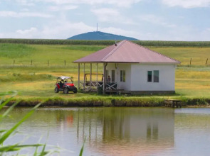 Широкая балка