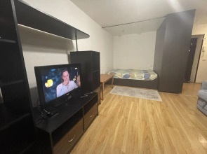 Апартаменты на улице Белинского 110