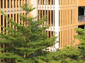 Отель The Silver Palm Wellness Resort