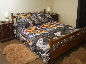 Гостевой дом в Домодедово