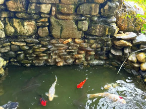 Гостевой Дом ART-HOTEL EVA