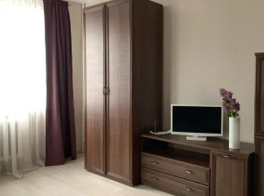 Апартаменты Добрые Сутки на Шейнкмана 45