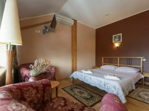 Отель Родина