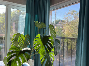 Апартаменты Rose Lux Wood