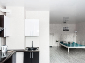 Апартаменты Apart Seasons Sheinkmana 86a