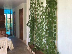 Гостевой дом Зеленый дворик