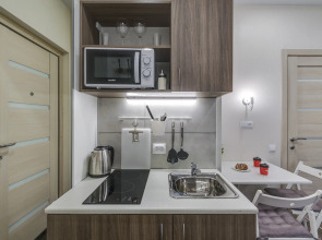 Апартаменты Ленина 49