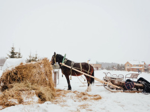 База отдыха Агротуристический комплекс Эль Ранчо