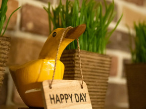 Апартаменты Gagahouse