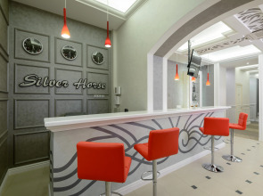 Меблированные комнаты  Серебряная лошадь