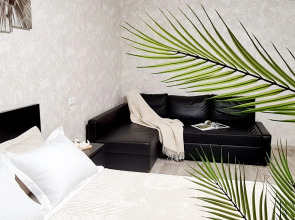 Квартира  Лофт около аквапарка