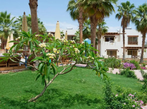 Amphoras Aqua Adults Friendly