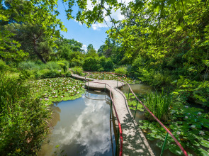 Санаторий Foros Wellness & Park