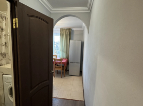 Odnokomnatnaya Flat