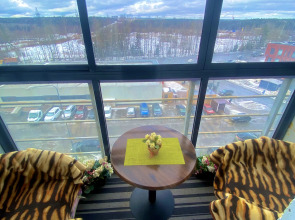 Апартаменты Белые Ночи 1-Комнатная Студия на Озеровых