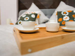 Гостевой дом  Allegro Park