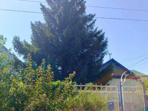 Belkin Domik Guest House