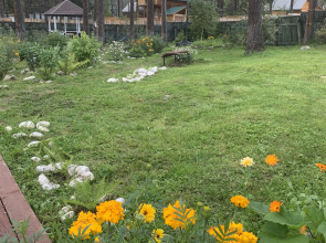 Мини-отель Подснежник