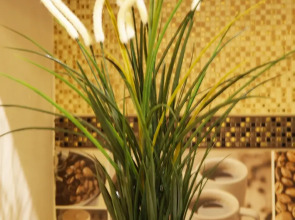 Мини-отель Хит