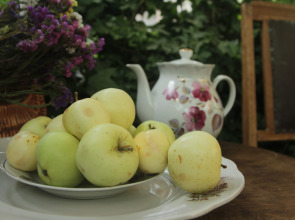 Гостевой Дом Рейд