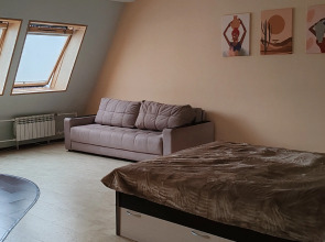 Квартира - студия в центре, есть выход на крышу и бесплатная парковка