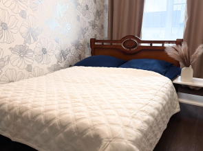 Na Furmanova 3 Apartments