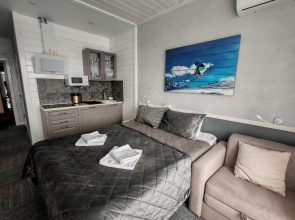 Апартаменты Sports Residence, 216