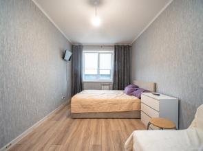 Volkhovskaya Flat
