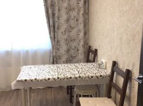 Квартира рядом с Park Inn