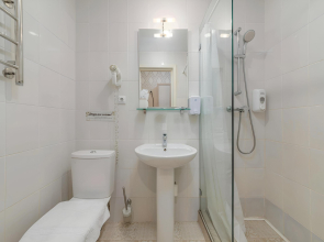 Апартаменты у Дворцовой площади Двухместные Комфорт