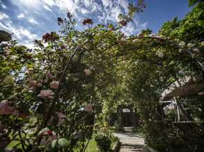 Отель Chveni Ezo Boutique Hotel