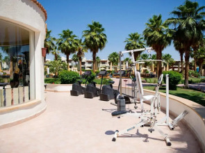 Amphoras Aqua Adults Friendly