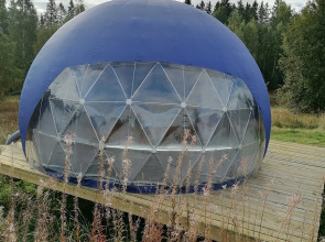 Глэмпинг Папоротник