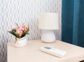 Апартаменты двухкомнатные в центре на ул.Горького 152. Сова-Дом