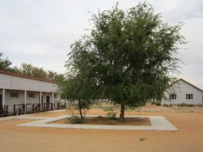 Rybalka-Laif Hotel