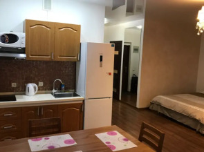 Квартира на пр-те Красного Знамени 117 д