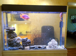 Апартаменты InHome24 Большая Якиманка 54