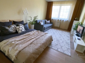 V Novom Dome u Metro Malinovka Flat