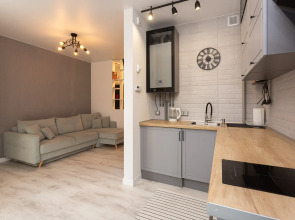 Апартаменты Silent Lake Studio