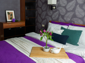 Apartamenty na ul. Ul'anovskaa radom s Ledovym dvorcom Dymka