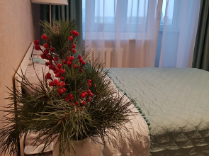 V Centre s Vidom na Kafedralnyj Sobor Flat