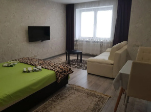 Studiya V Tsentre Apartment