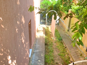 Гостевой дом Бамбуковый Рай