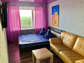 Na Sherstneva 17 Flat